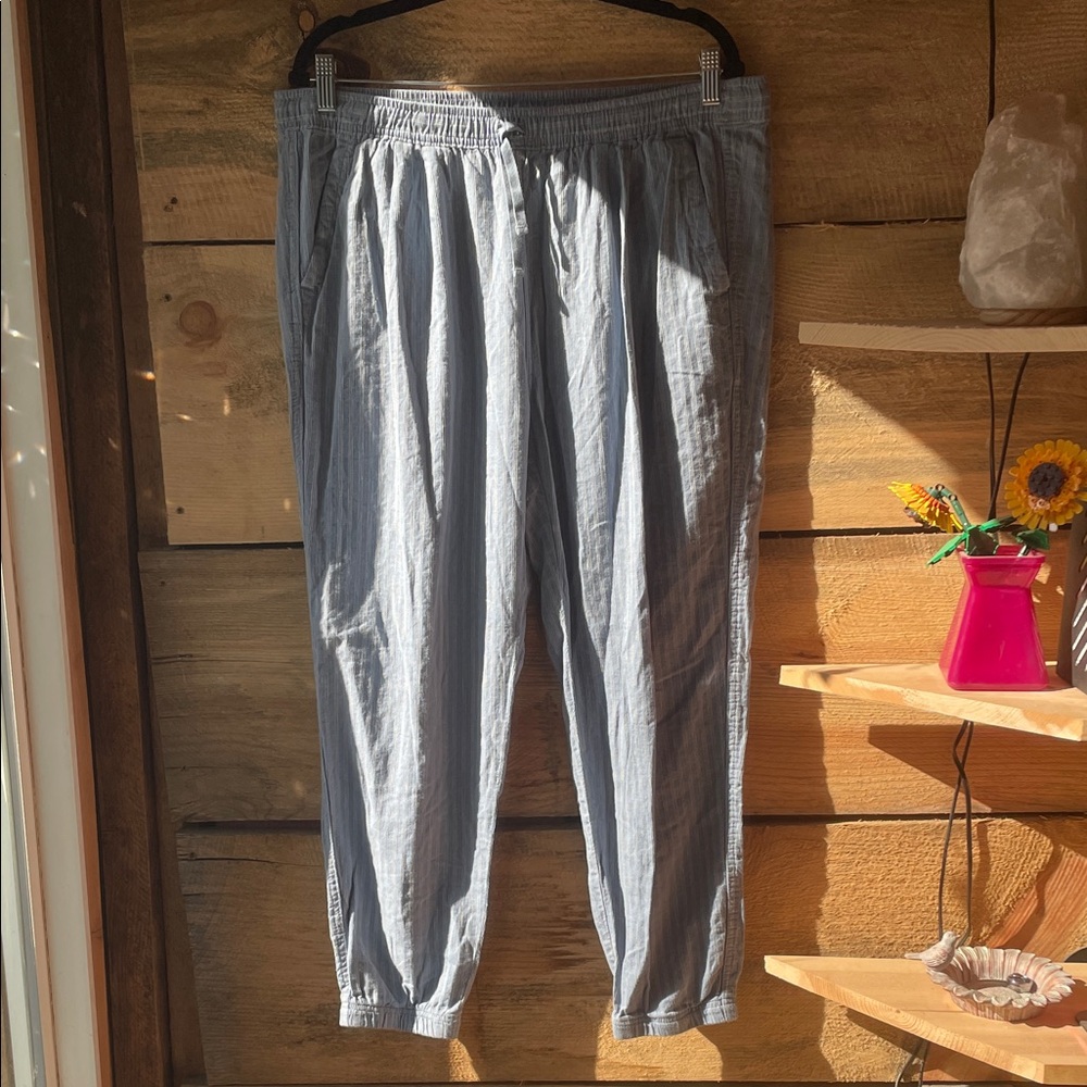 Patagonia Light Gray Track Pants